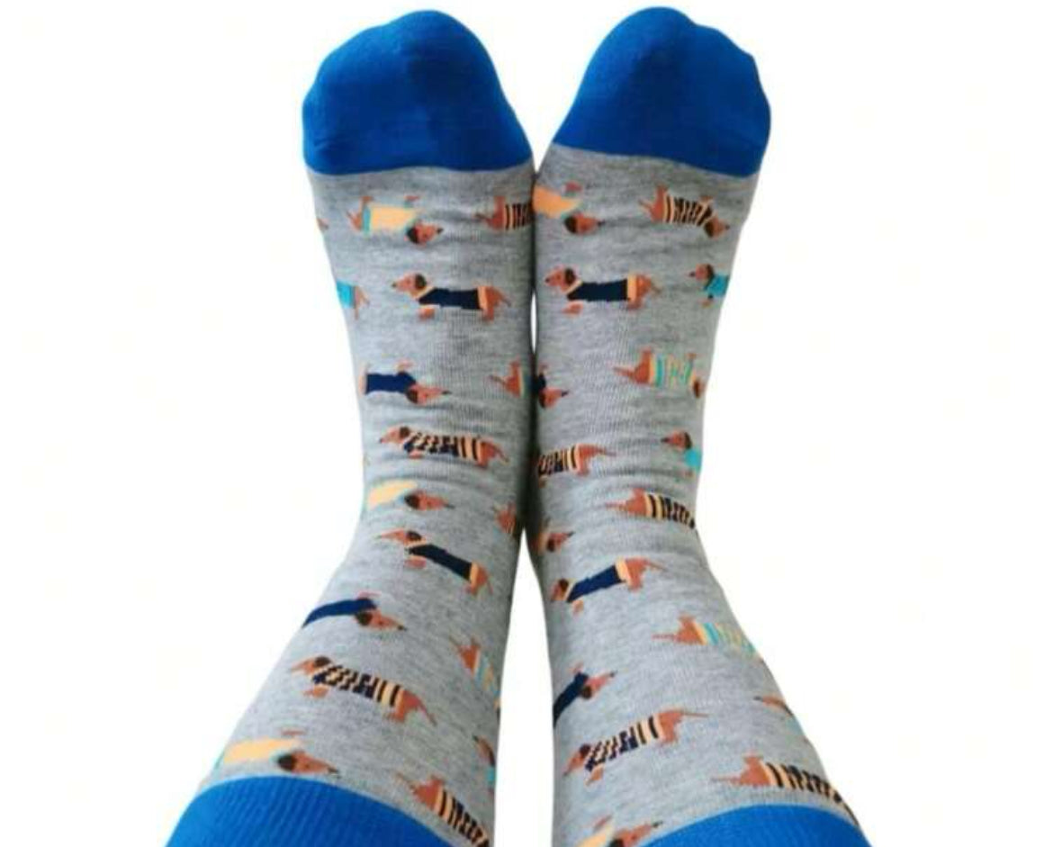Blue and grey Dachshund socks
