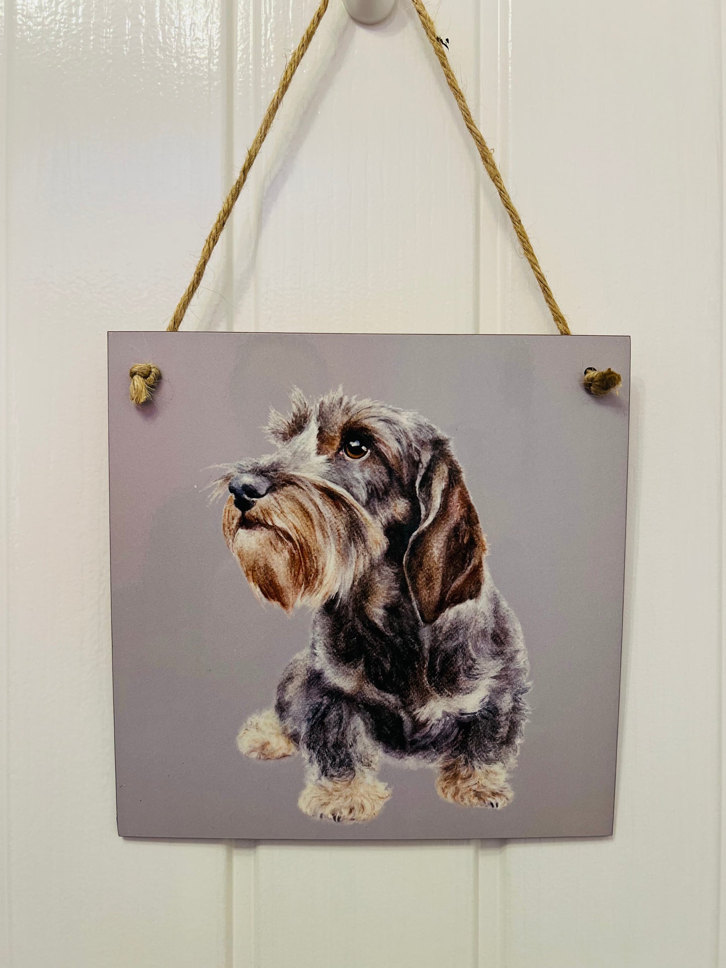 Wooden wirehaired Dachshund sign.