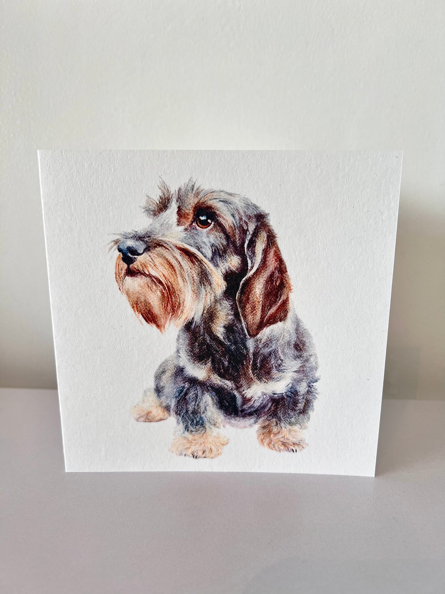 Wirehaired Dachshund card