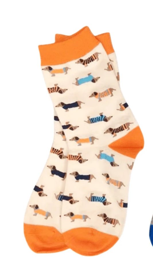Orange and cream Dachshund socks