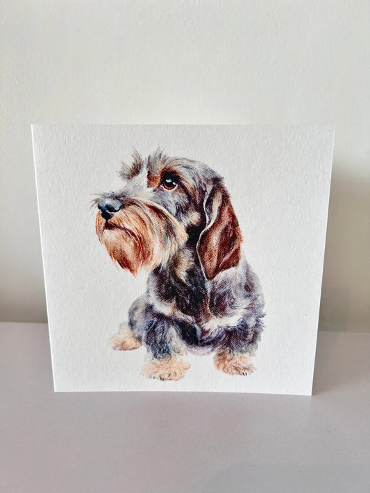 Wirehaired Dachshund card